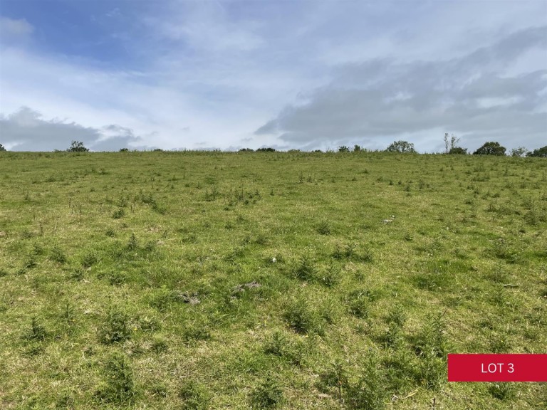 Images for Avonwick, South Brent