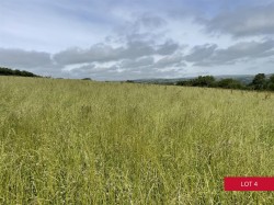 Images for Avonwick, South Brent