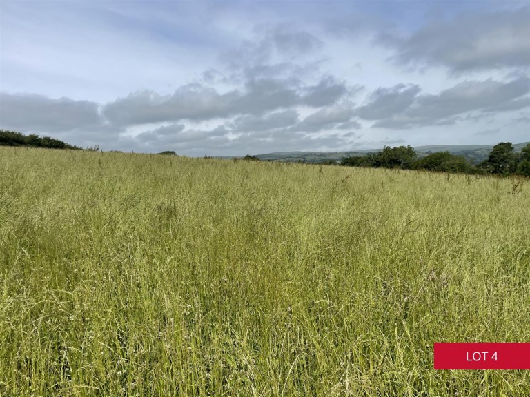 Images for Avonwick, South Brent