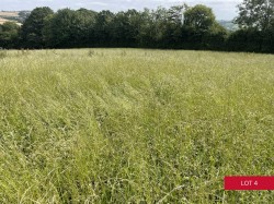 Images for Avonwick, South Brent