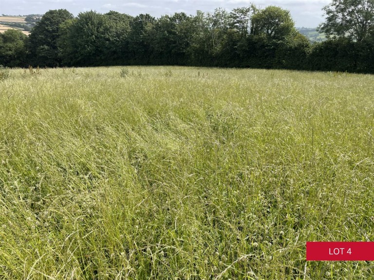 Images for Avonwick, South Brent