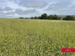 Images for Avonwick, South Brent