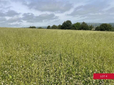 Click the photo for more details of Avonwick, South Brent