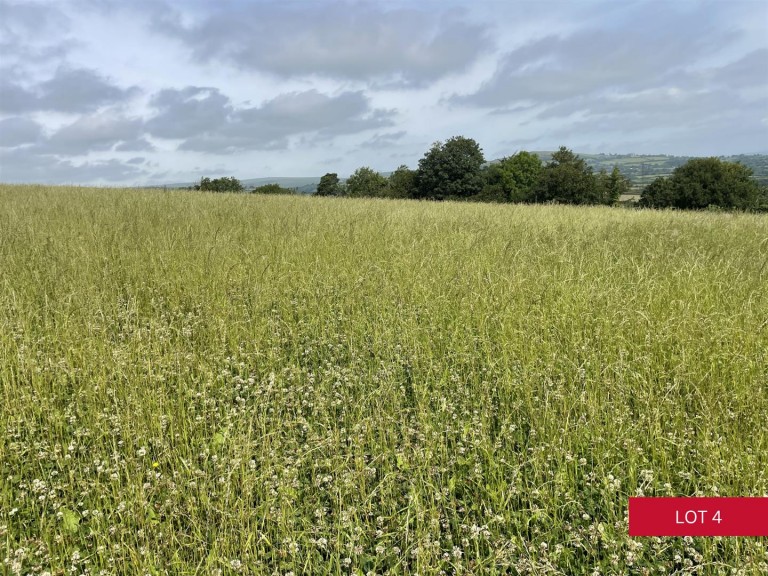 Images for Avonwick, South Brent