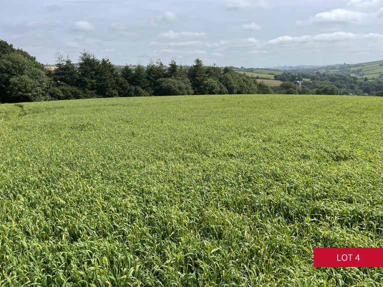 Images for Avonwick, South Brent