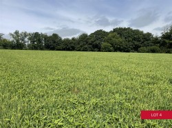 Images for Avonwick, South Brent