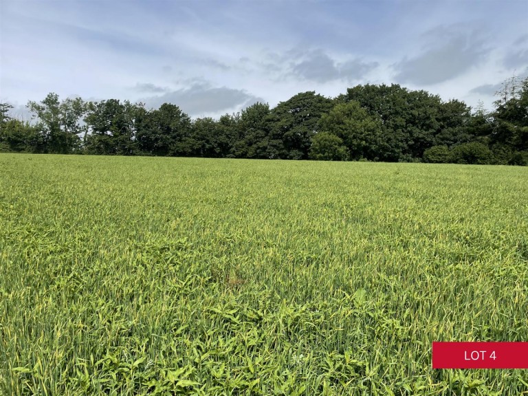 Images for Avonwick, South Brent