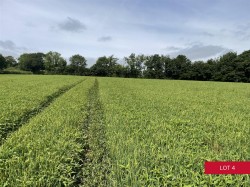 Images for Avonwick, South Brent