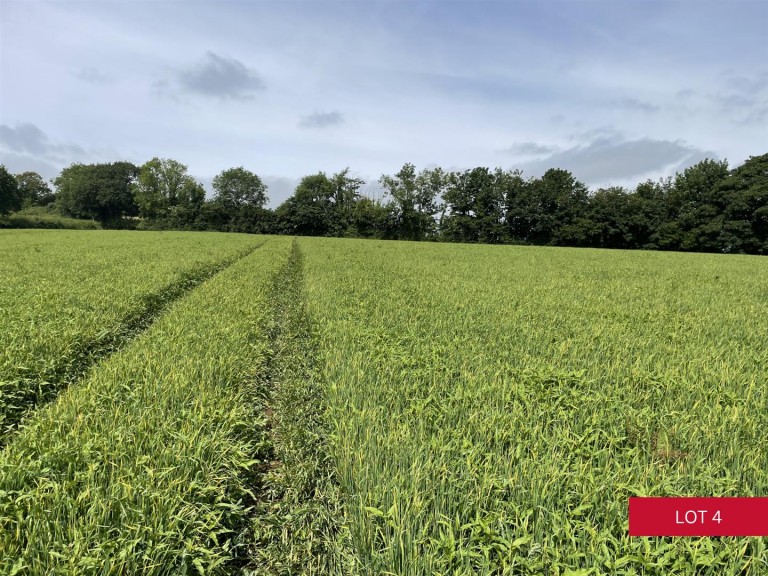 Images for Avonwick, South Brent
