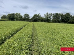 Images for Avonwick, South Brent