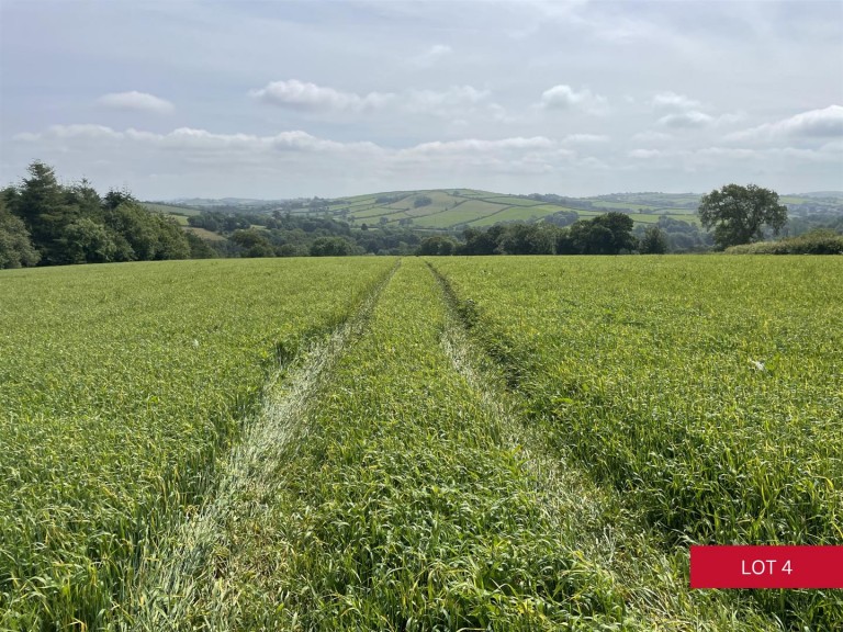 Images for Avonwick, South Brent