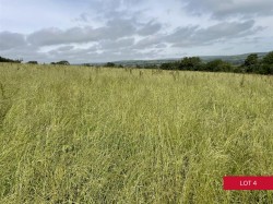 Images for Avonwick, South Brent