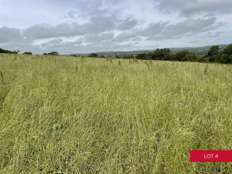 Images for Avonwick, South Brent