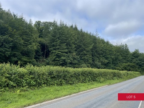 Click the photo for more details of Avonwick, South Brent