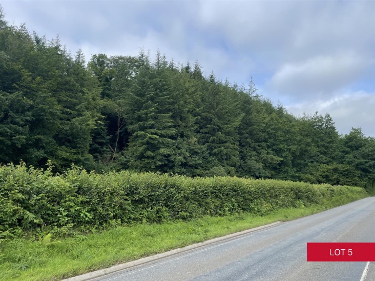 Images for Avonwick, South Brent