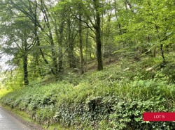 Images for Avonwick, South Brent