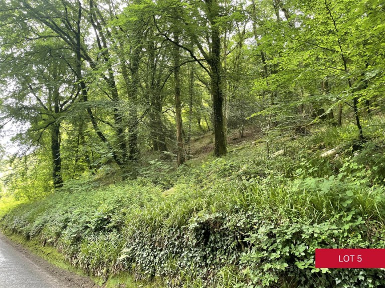 Images for Avonwick, South Brent