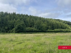 Images for Avonwick, South Brent