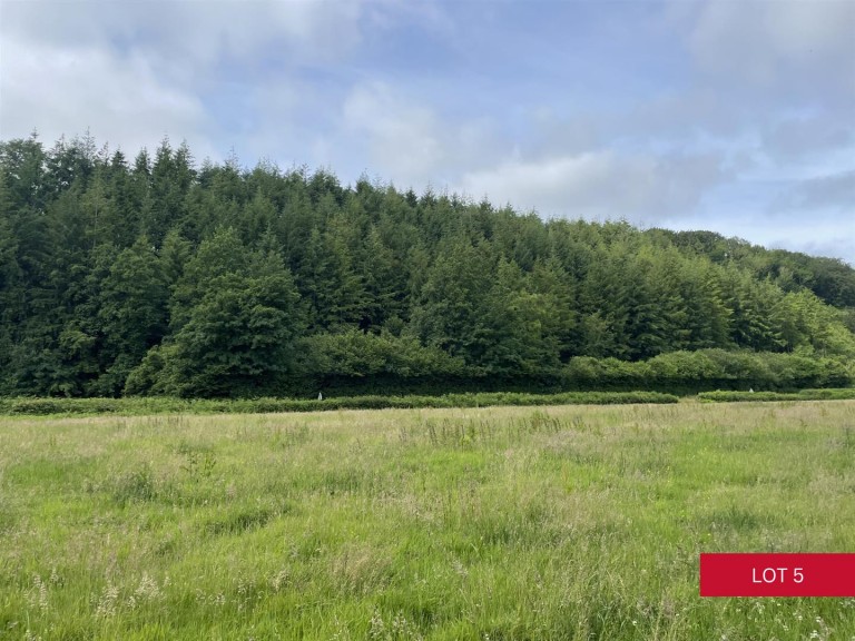 Images for Avonwick, South Brent