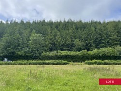 Images for Avonwick, South Brent