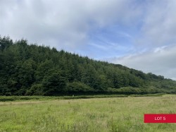 Images for Avonwick, South Brent