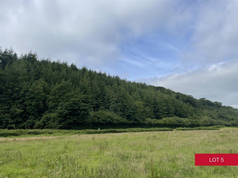 Images for Avonwick, South Brent
