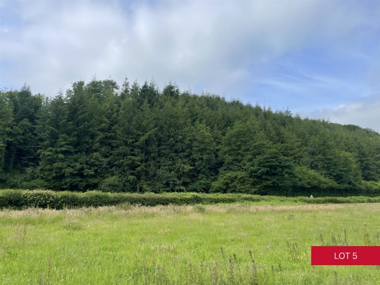 Images for Avonwick, South Brent