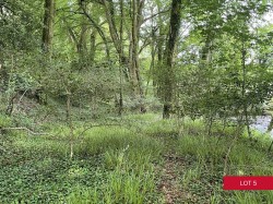 Images for Avonwick, South Brent