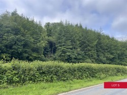 Images for Avonwick, South Brent