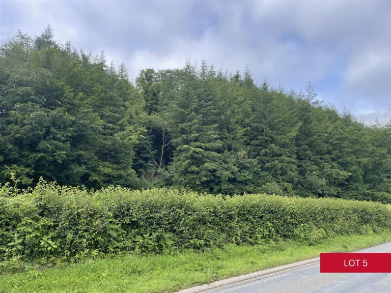 Images for Avonwick, South Brent