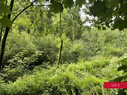 Images for Avonwick, South Brent