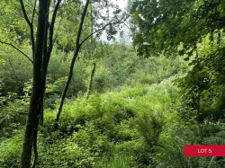 Images for Avonwick, South Brent