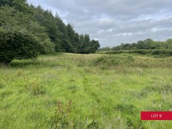 Images for Avonwick, South Brent