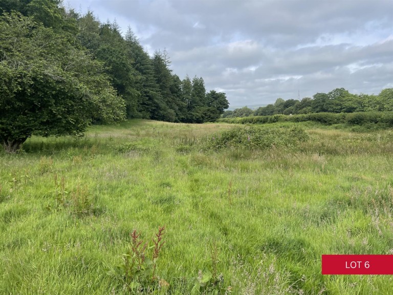 Images for Avonwick, South Brent