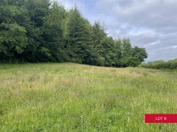 Images for Avonwick, South Brent
