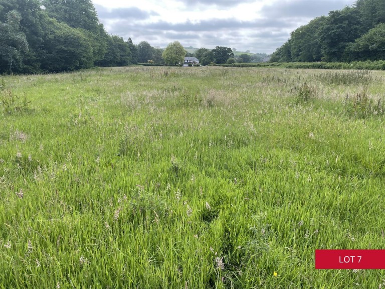 Images for Avonwick, South Brent
