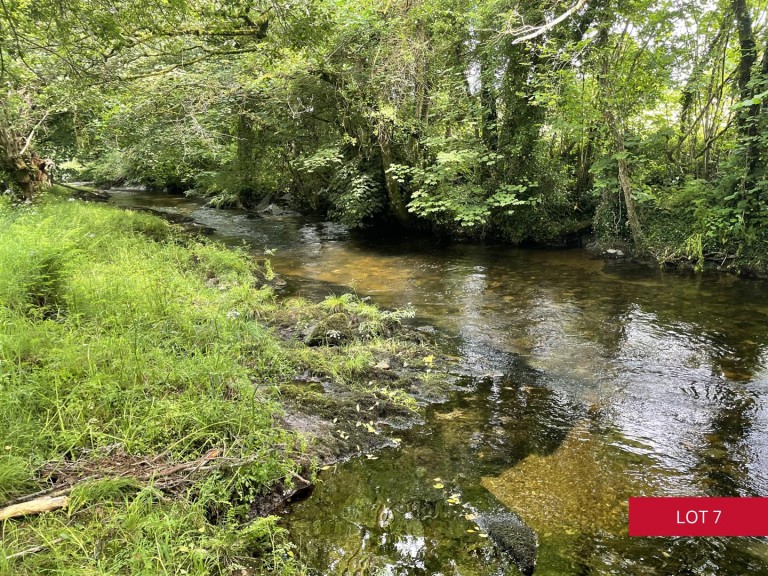 Images for Avonwick, South Brent