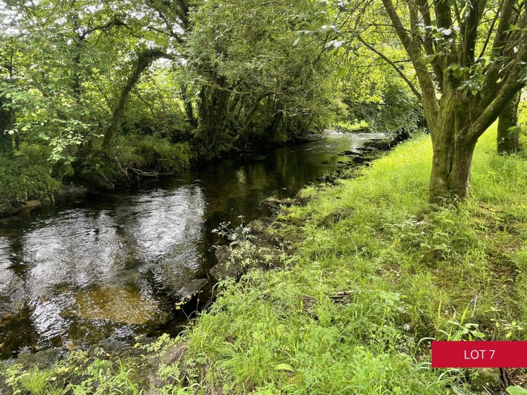 Images for Avonwick, South Brent