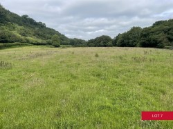 Images for Avonwick, South Brent