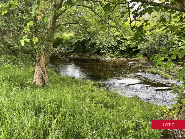 Images for Avonwick, South Brent