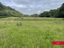 Images for Avonwick, South Brent