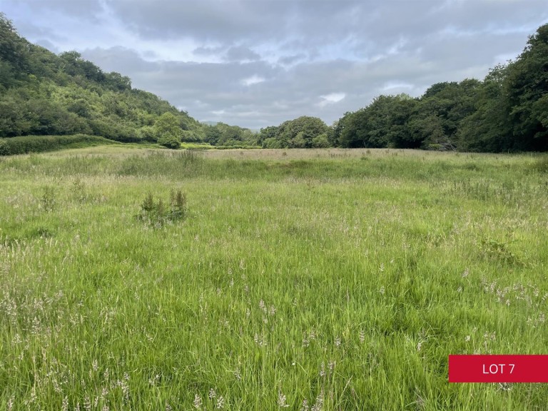 Images for Avonwick, South Brent