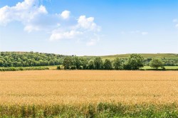 Images for Bessels Lane, Shroton, Blandford Forum