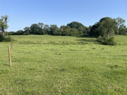 Images for Semley, Shaftesbury