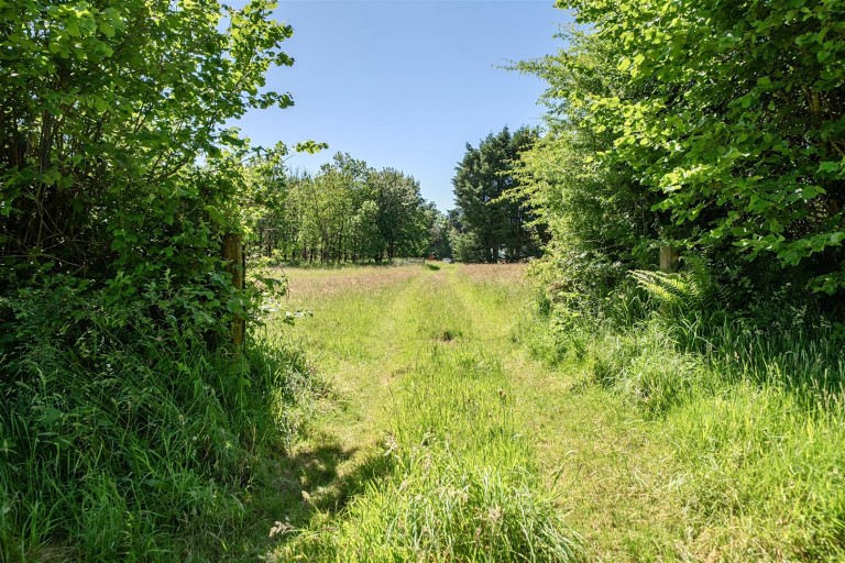 Images for Bradworthy, Holsworthy