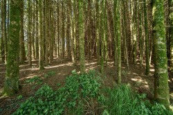 Images for Bradworthy, Holsworthy