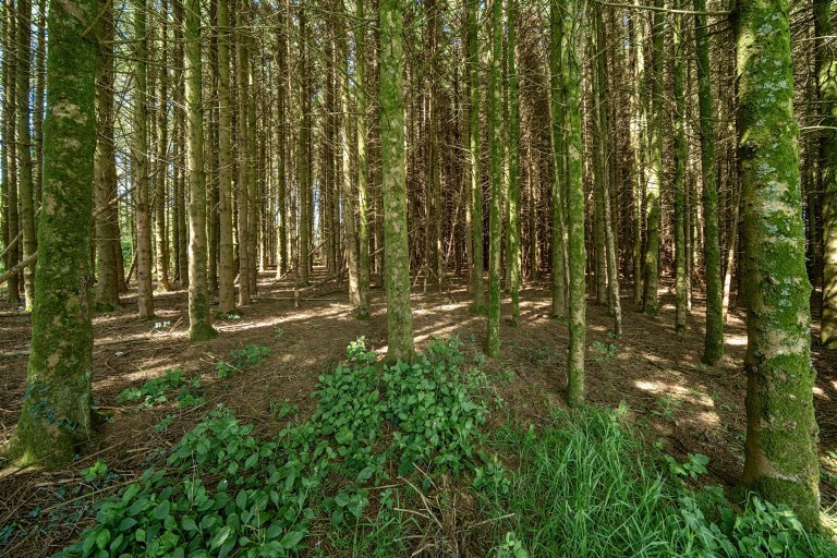 Images for Bradworthy, Holsworthy