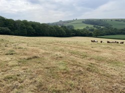 Images for Stockleigh Pomeroy, Crediton