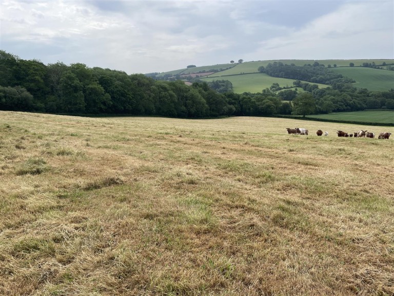 Images for Stockleigh Pomeroy, Crediton
