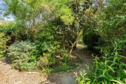Images for West End, Haddenham, Ely